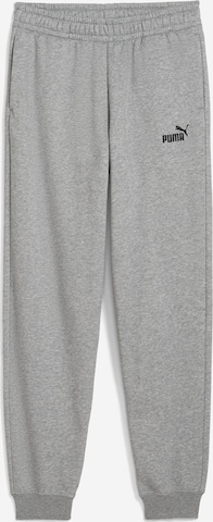 PUMAHlače 'ESS No. 1' - siva boja: prednji dio