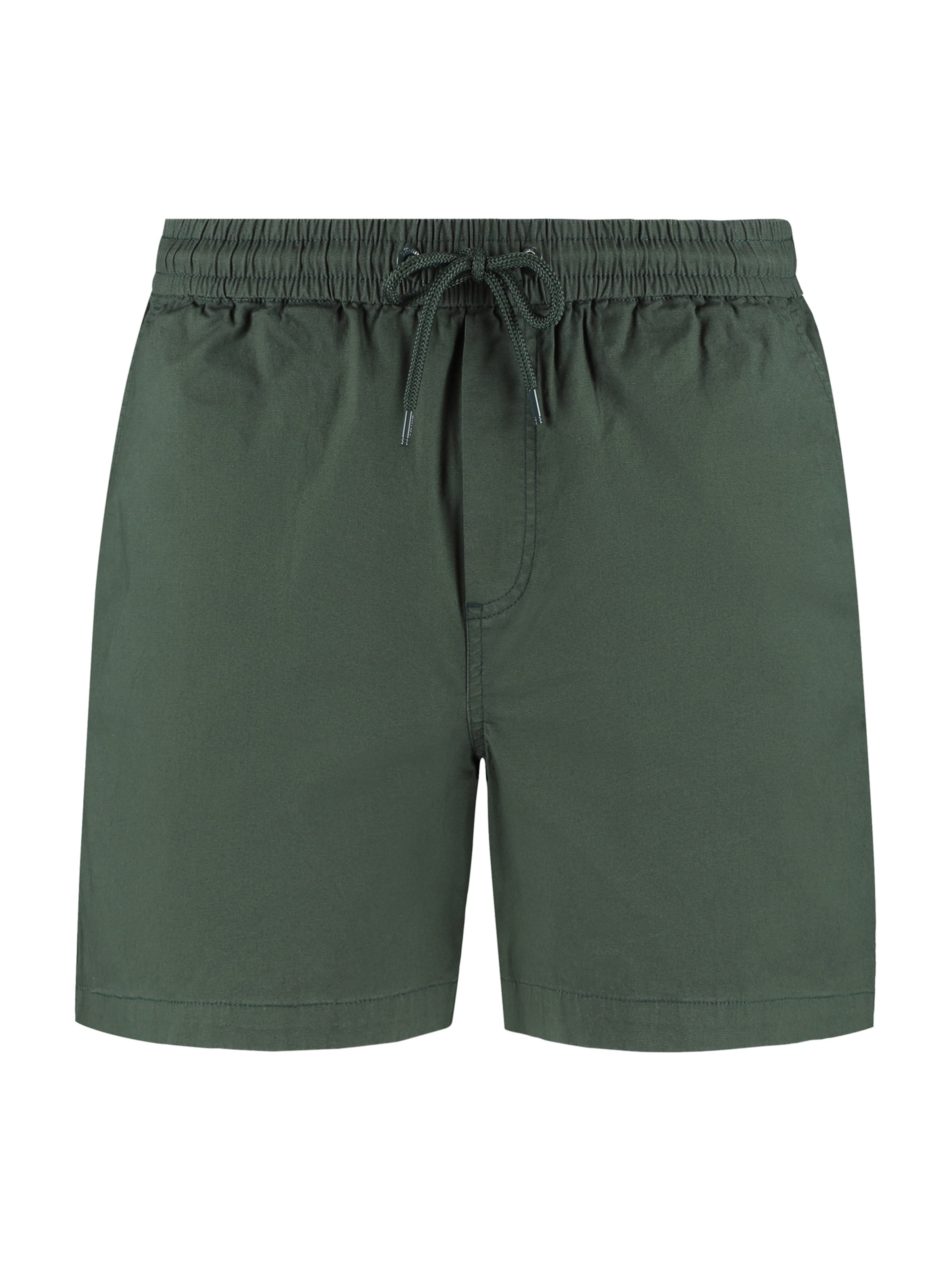 Shiwi Regular Shorts 'Josh' in Grün: Vorderseite