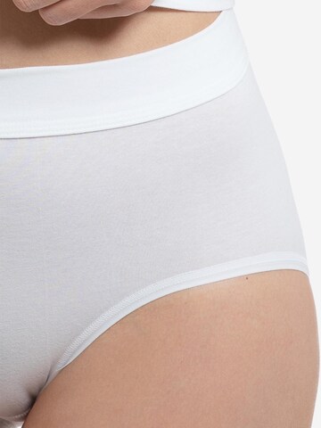 SPEIDEL Panty 'bio.cotton Plus' in White
