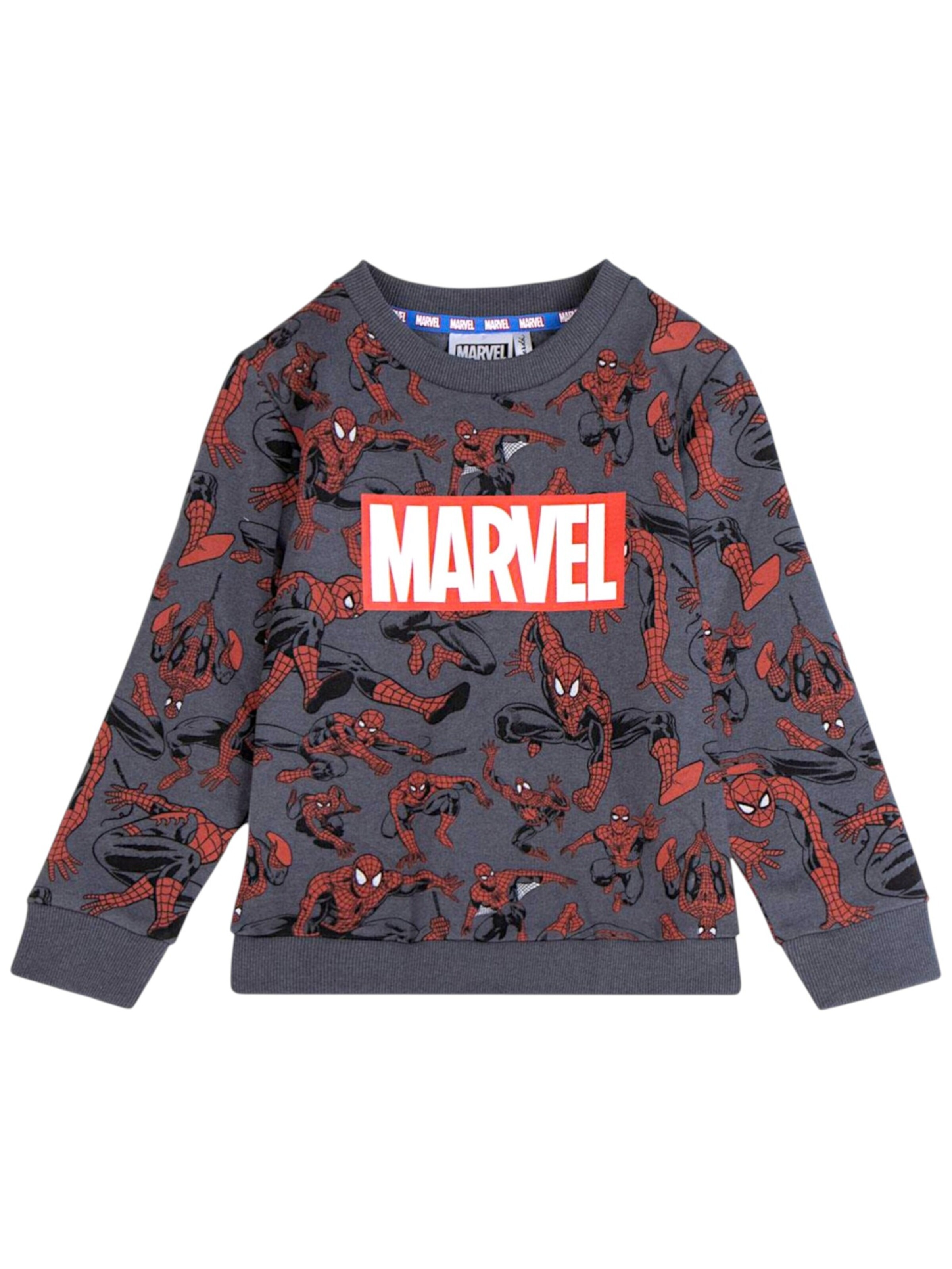 Spider-Man Sweatshirt in Grey: front