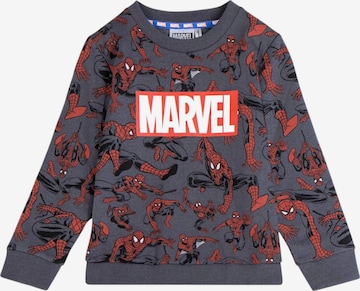 Spider-Man Sweatshirt in Grey: front