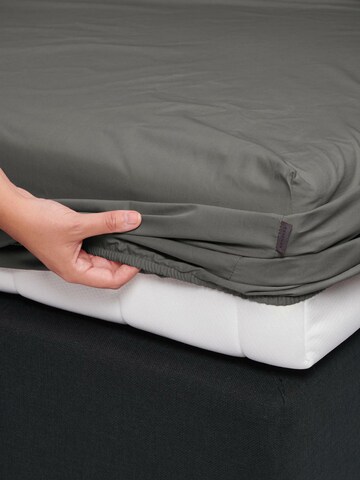 ESSENZA Bed Sheet in Grey