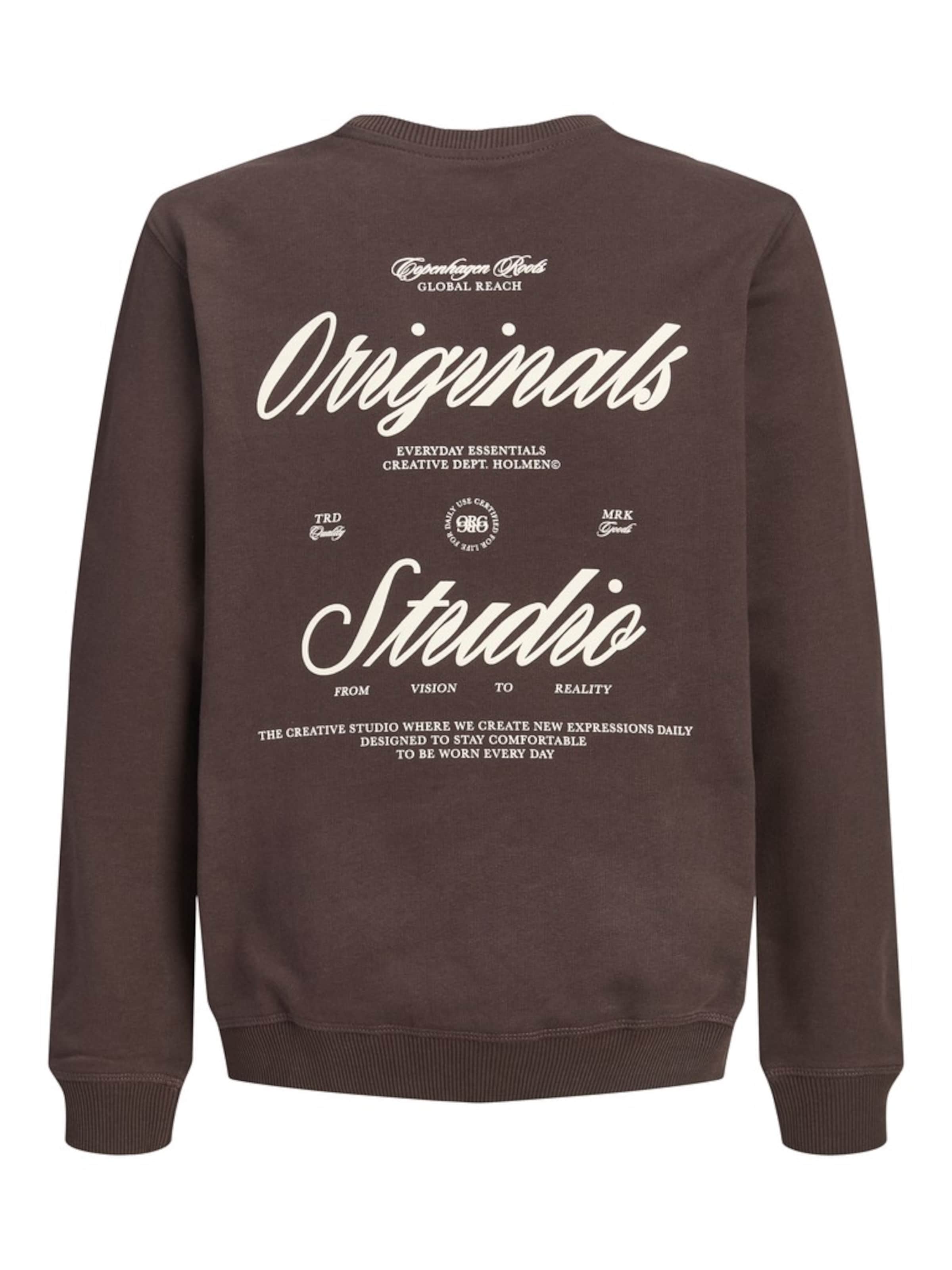 Jack & Jones Junior - Sudadera 'JORNORREBRO' en marrón