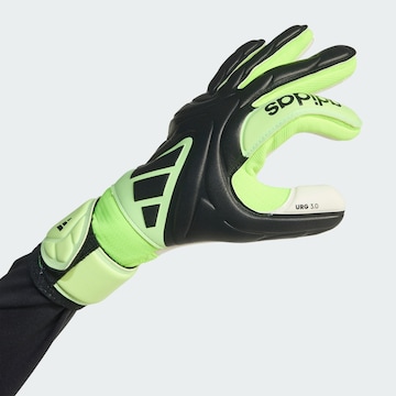 Gants de sport 'Copa League' ADIDAS PERFORMANCE en vert