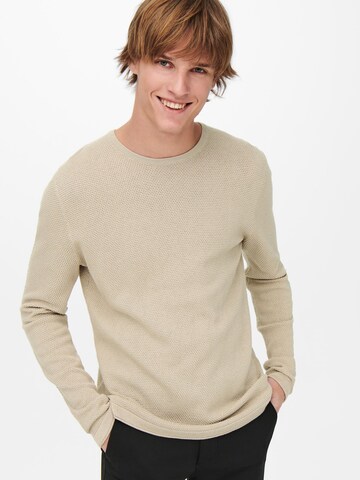 Only & Sons Regular Fit Pullover 'Panter' in Beige