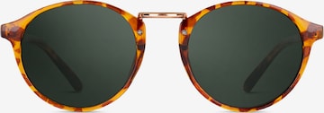 TWIG Concept Milano Sunglasses 'Picasso' in Brown: front