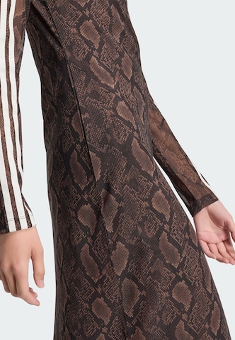 ADIDAS ORIGINALS Kleid in Braun