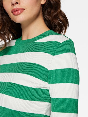 Mavi Sweater in Green