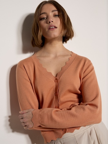 Cardigan bavarois ' ' Apricot en orange