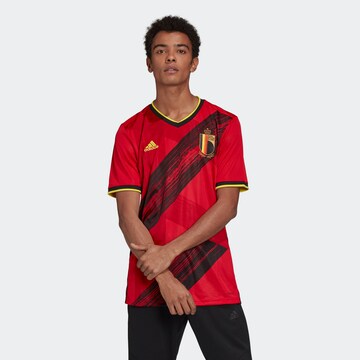 ADIDAS SPORTSWEAR Trikot 'Belgien Home EM 2020' in Rot: Vorderseite