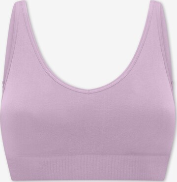 SCHIESSER Bra ' Classic Seamless ' in Purple: front
