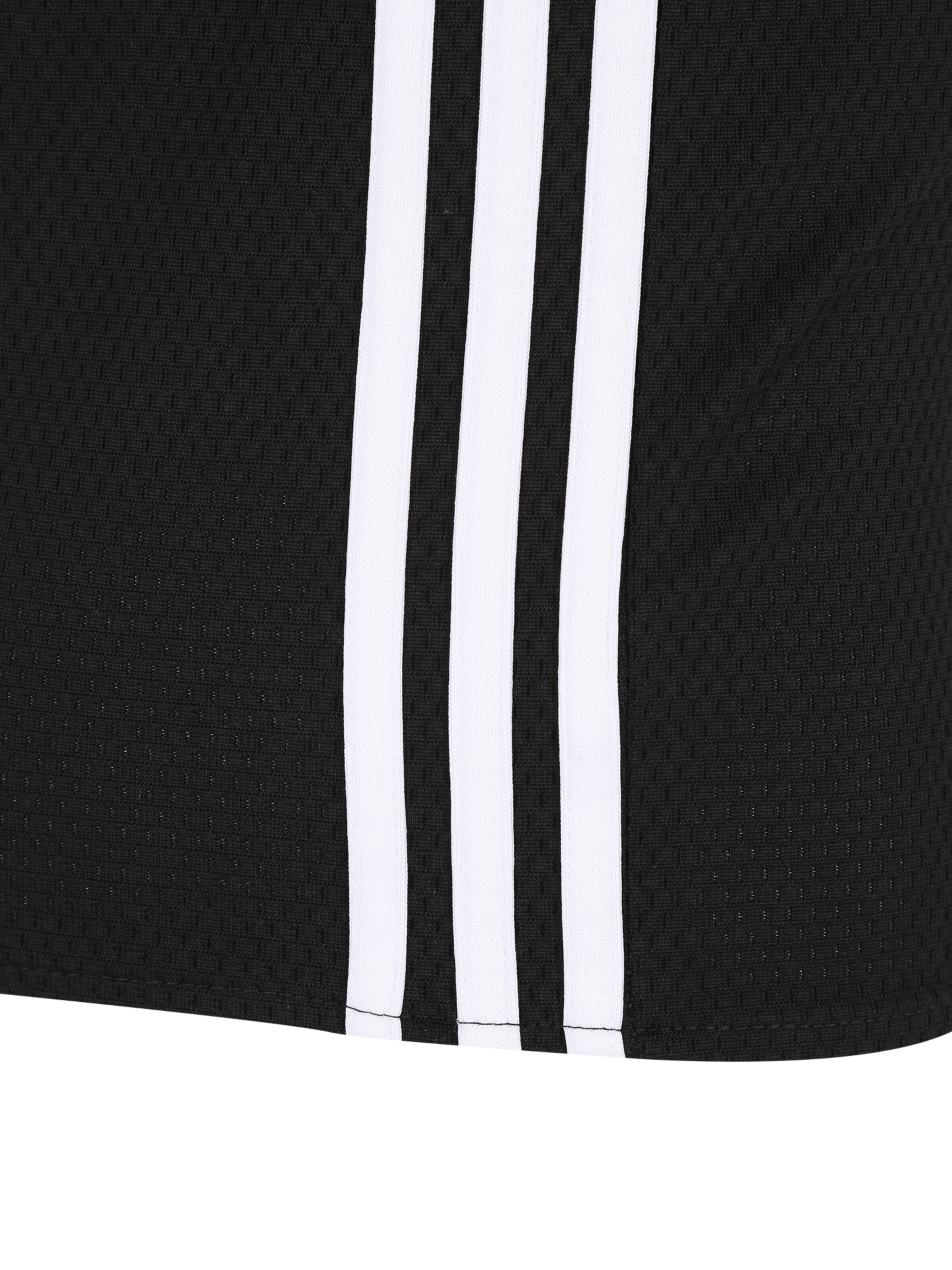 ADIDAS ORIGINALS Μπλουζάκι 'Adicolor' σε μαύρο