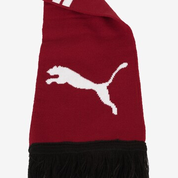 Écharpe de sport 'Österreich' PUMA en rouge