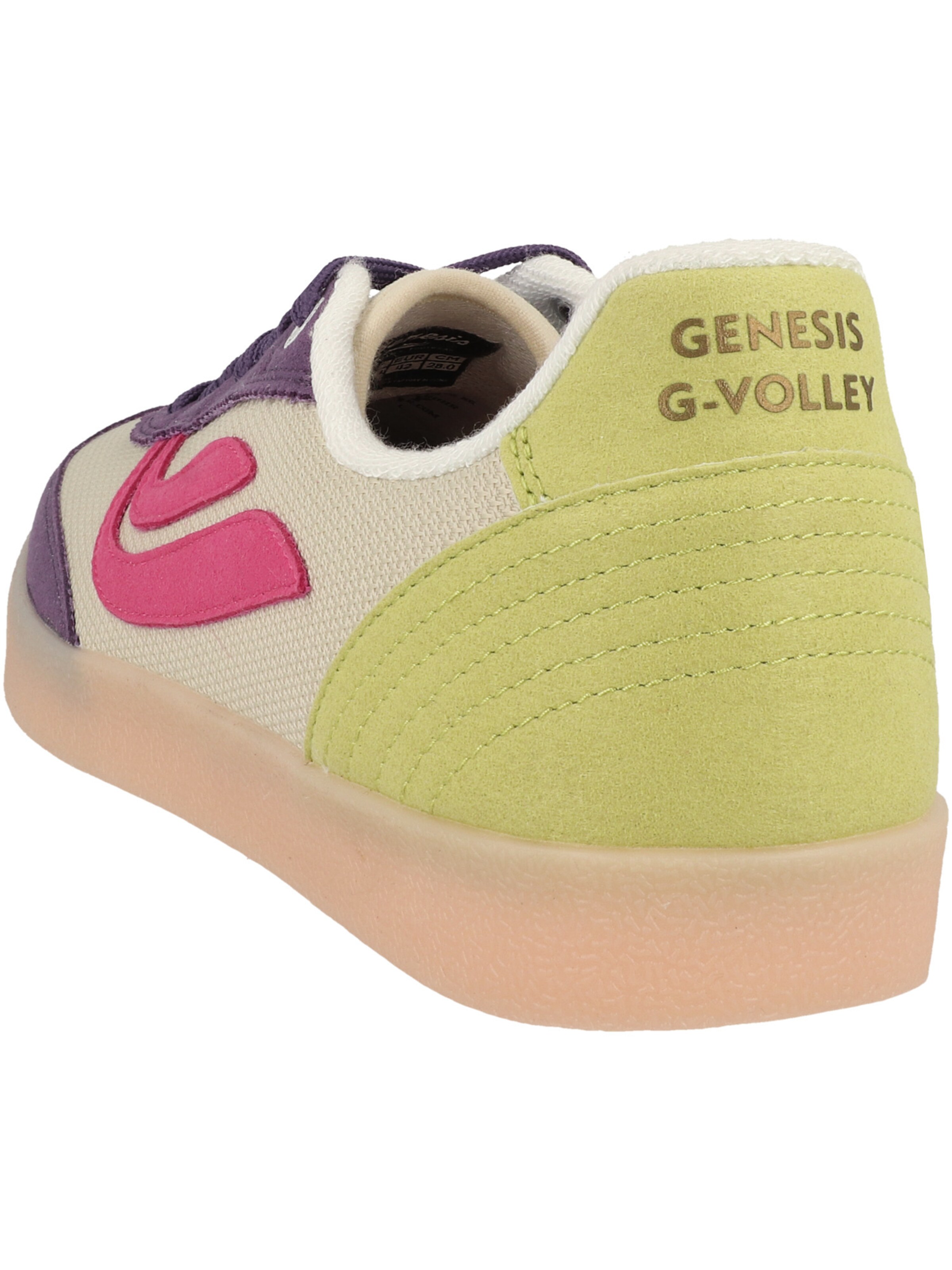 Sneaker bassa 'G-Volley' di GENESIS in colori misti