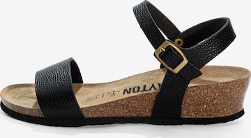 juoda Bayton Sandalai 'WODONGA ': priekis