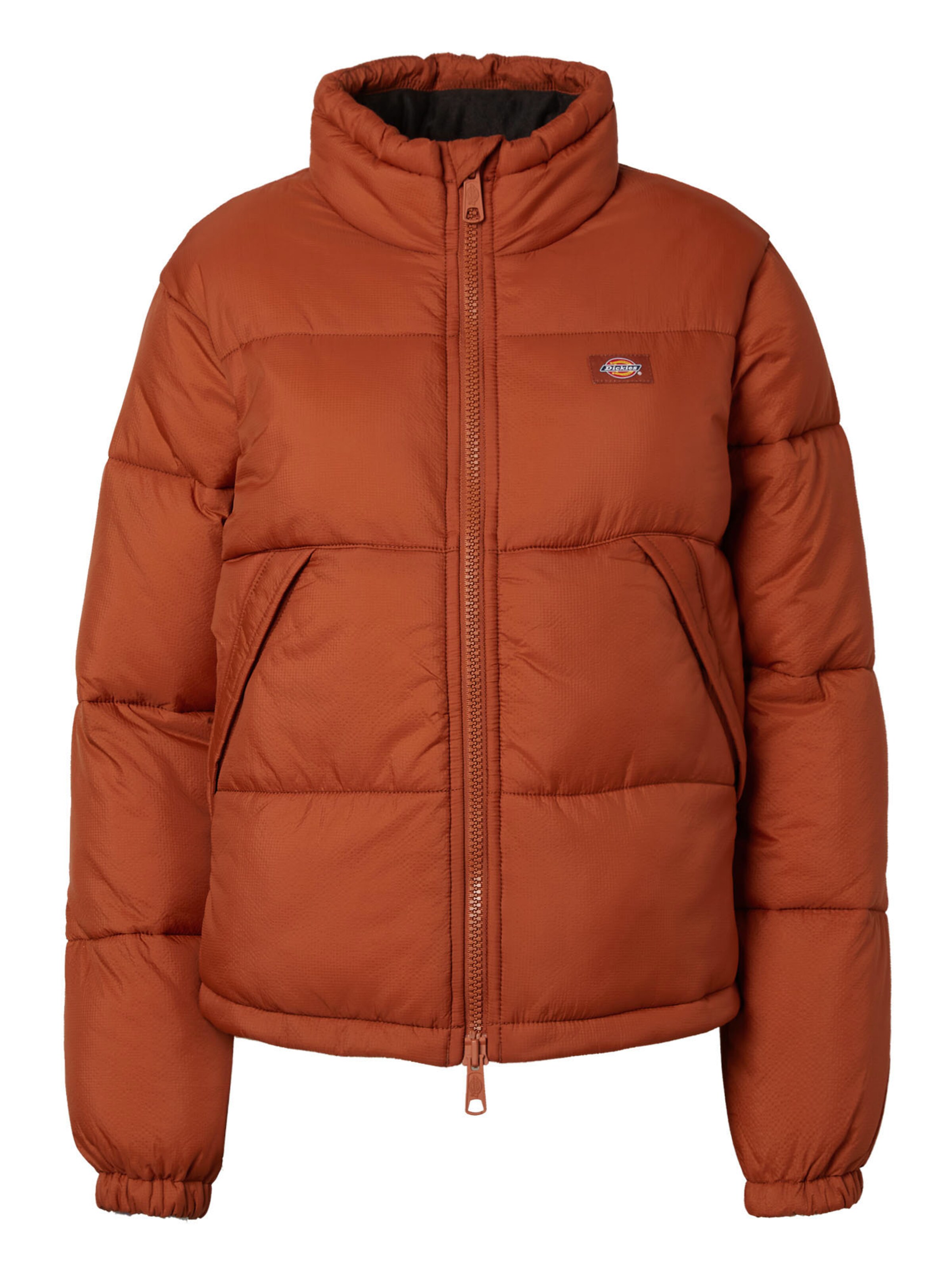 Geacă de primăvară-toamnă 'Alatna' de la DICKIES pe maro: față