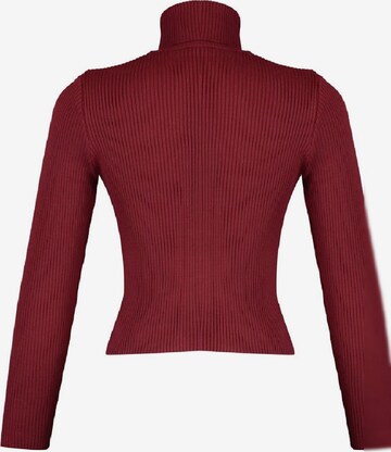 Pullover di Trendyol in rosso