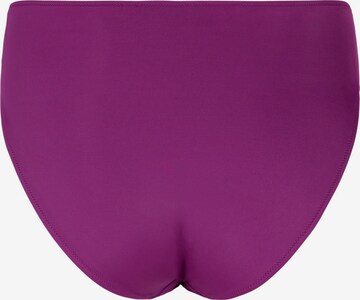 Bas de bikini Swim by Zizzi en violet