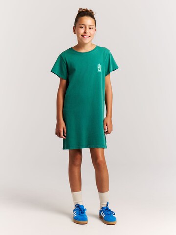 PROTEST Dress 'PRTIlonka JR' in Green