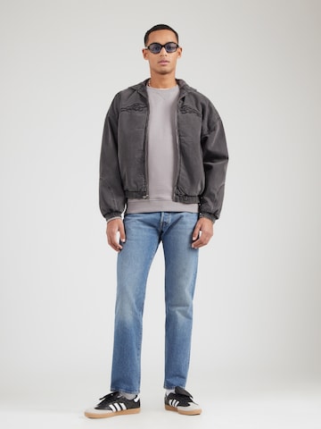 Pepe Jeans Sweatshirt 'SUMMER' i grå