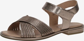 CAPRICE Strap Sandals in Gold: front