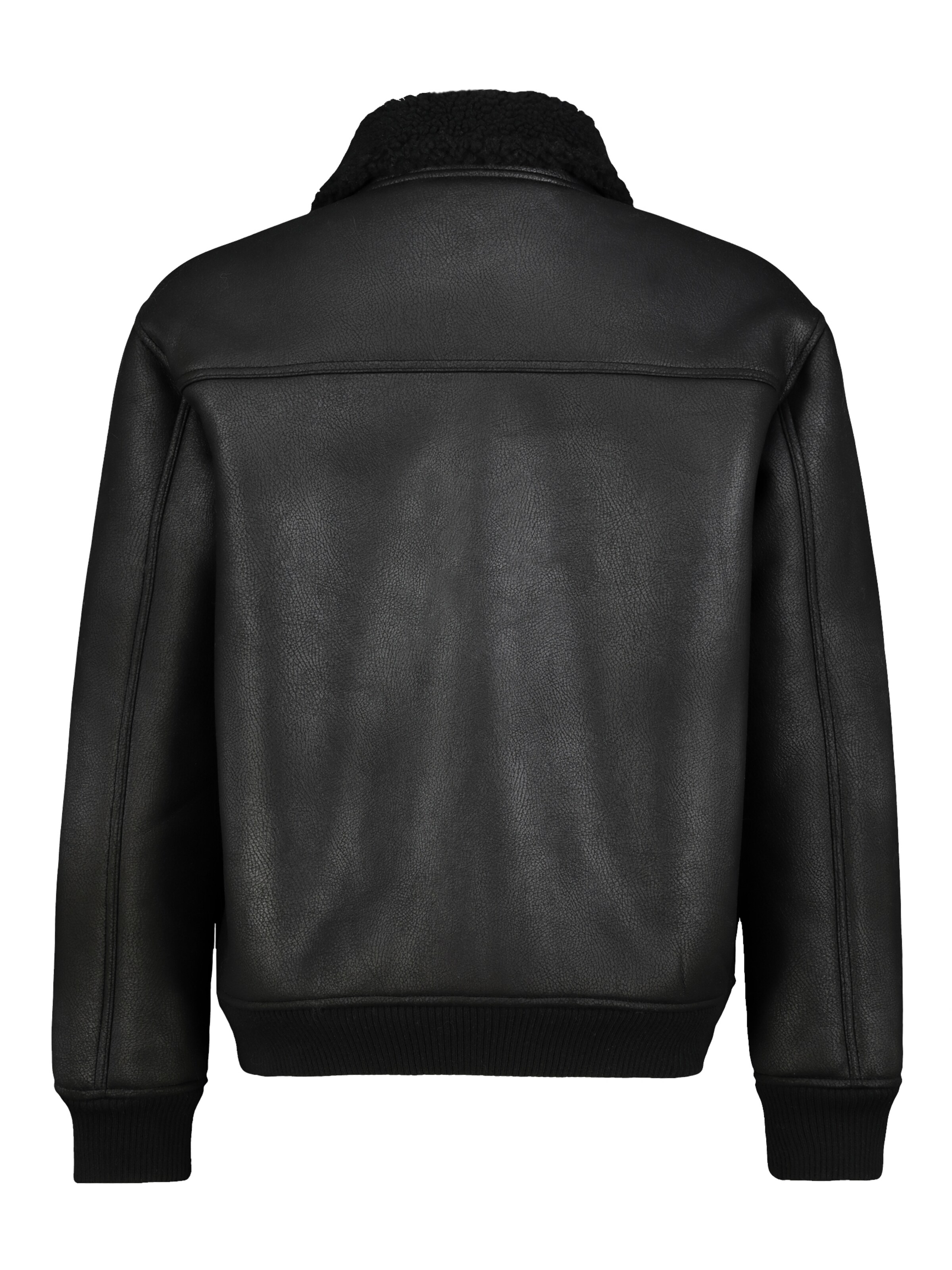 Sublevel Winter Jacket in Black