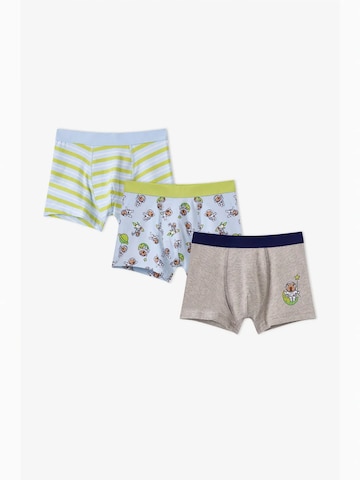 Penti Alsónadrág 'PENTI Jungen Boxershorts Capybaras Space' - vegyes színek: elől