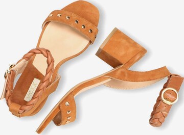 Sandales à lanières MEXX en marron