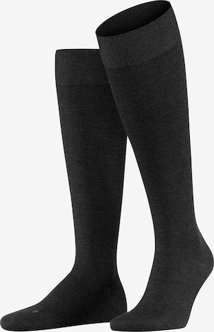 FALKE Knee High Socks 'Energizing Wool' in Grey: front