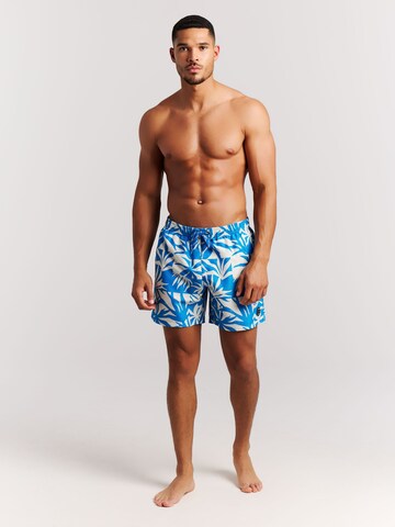PROTEST Board Shorts 'PRTPanther' in Blue