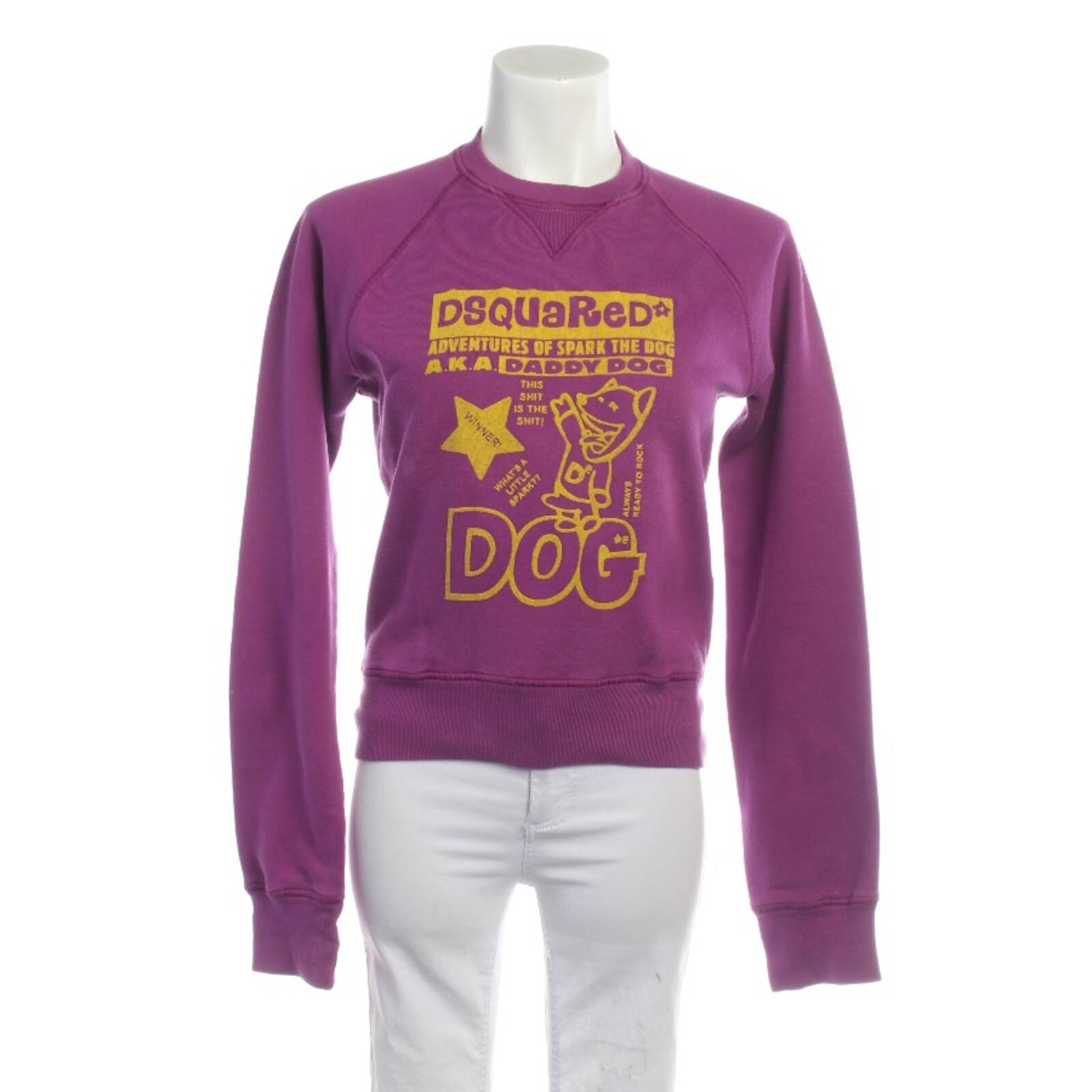 DSQUARED2 Sweatshirt & Zip-Up Hoodie in S in Purple: front