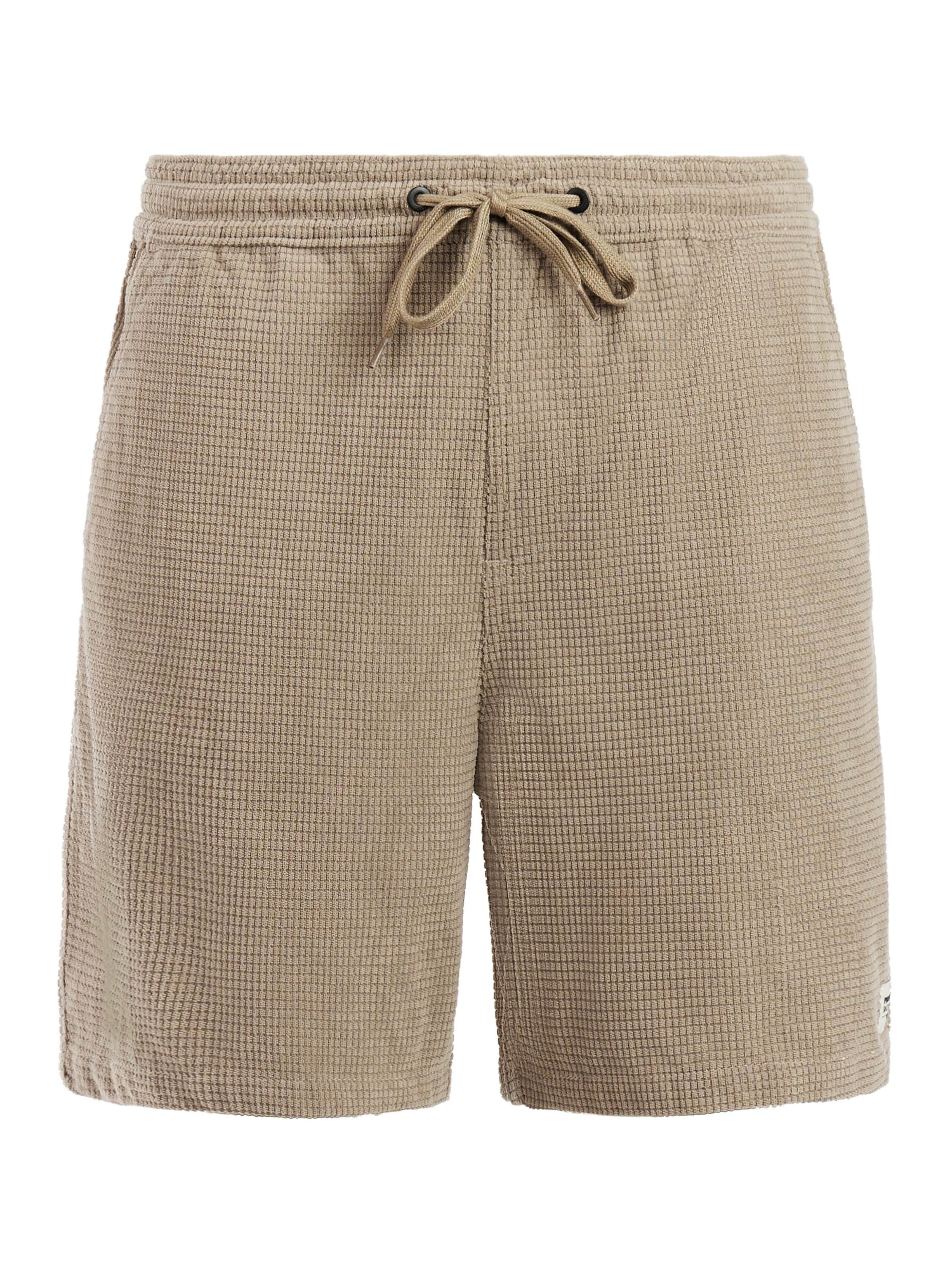 PROTEST Regular Pants 'PRTBairro' in Brown: front