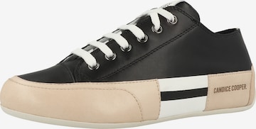 Candice Cooper Sneaker 'Rock Patch S' in Schwarz: Vorderseite