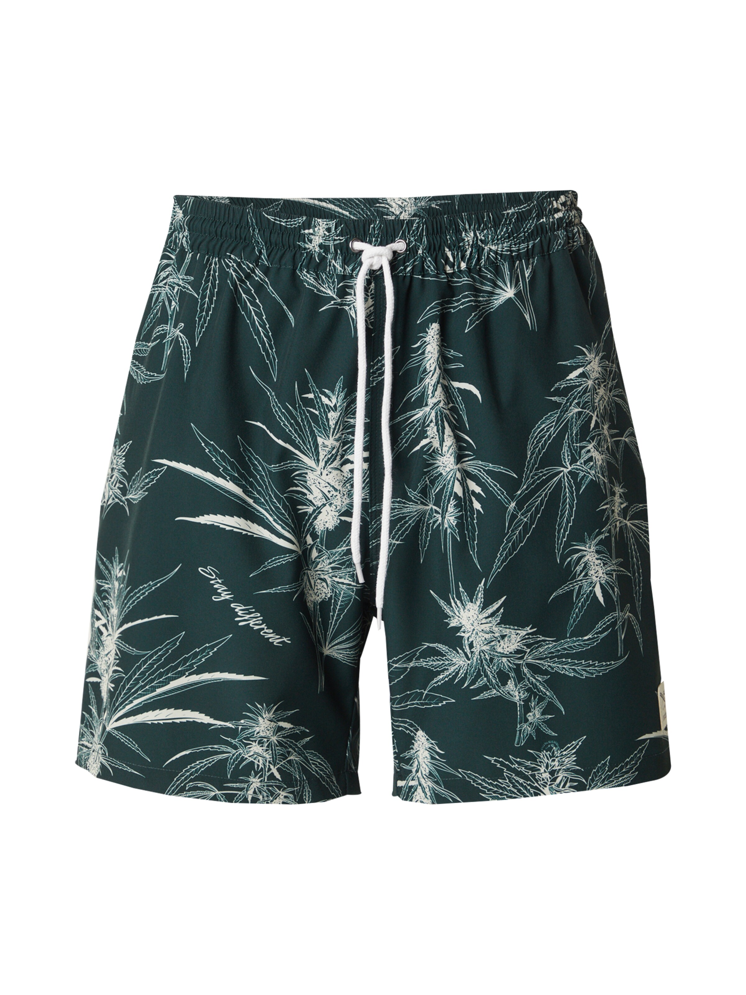 Loosefit Pantalon 'Crazy Fresh' Iriedaily en vert : devant