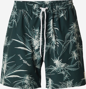 Iriedaily Loosefit Housut 'Crazy Fresh' värissä vihreä: etupuoli