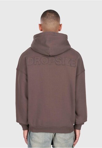 Dropsize Sweatshirt in Brown