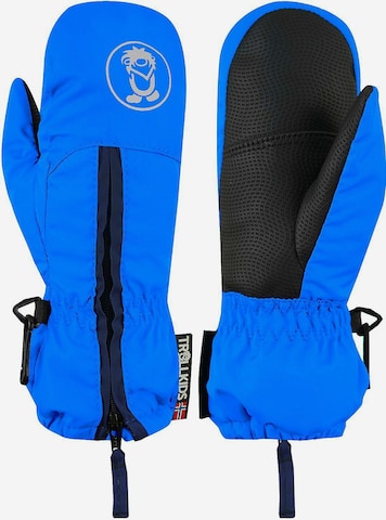 TROLLKIDS Handschuhe in Blau: predná strana