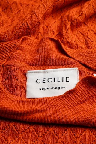 Cecilie Copenhagen Pullover S in Braun