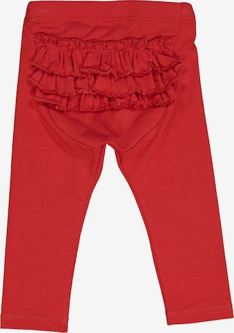 Müsli by GREEN COTTON Regular Pants in Red