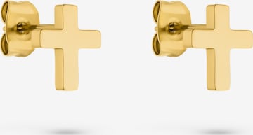 s.Oliver Earrings in Gold: front