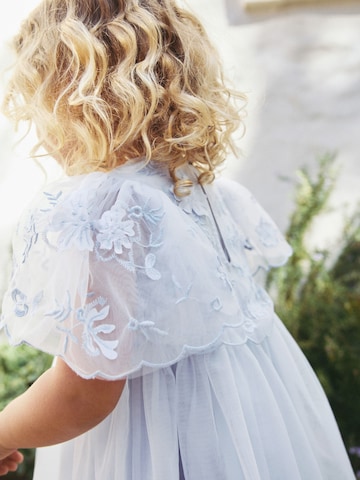 Next Dress in Blue