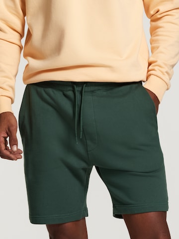 Shiwi Regular Trousers 'Steve' in Green