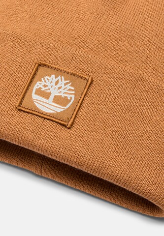 TIMBERLAND Kape | rjava barva