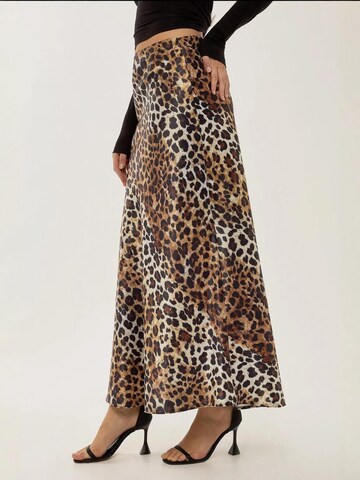 Hiccup Rock in Braun