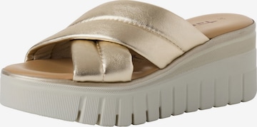 Tamaris Muiltjes in Goud: voorkant