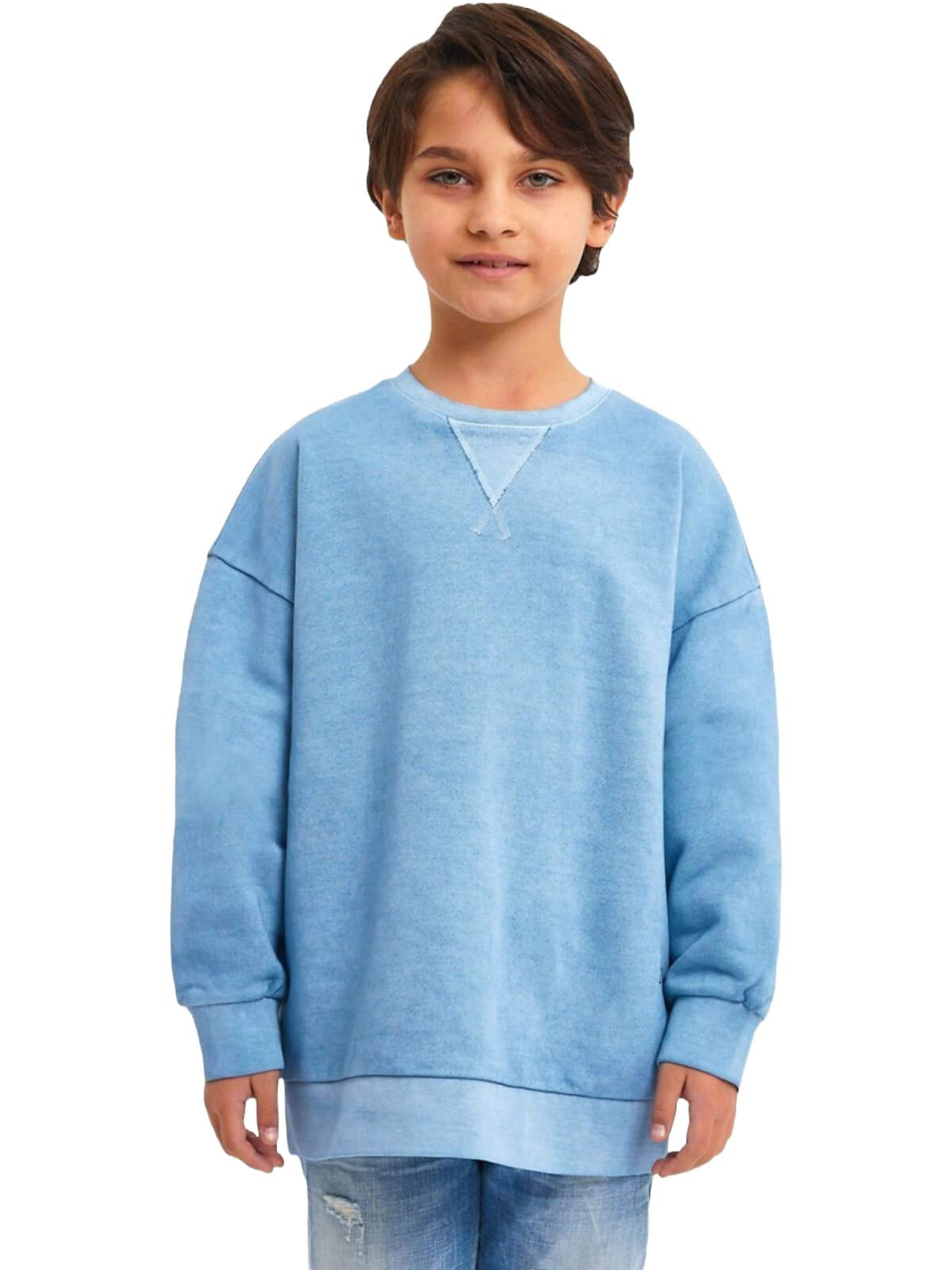 Felpa 'LTB Jeans Jungen Basic Sweatshirt mit Rückenprint' di LTB Jeans in blu: frontale