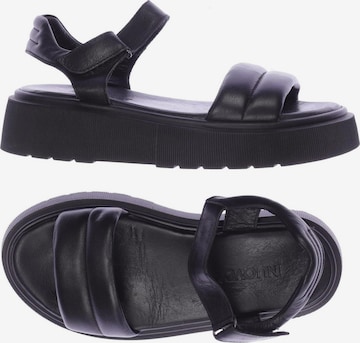 INUOVO Sandals & High-Heeled Sandals in 37 in Black: front