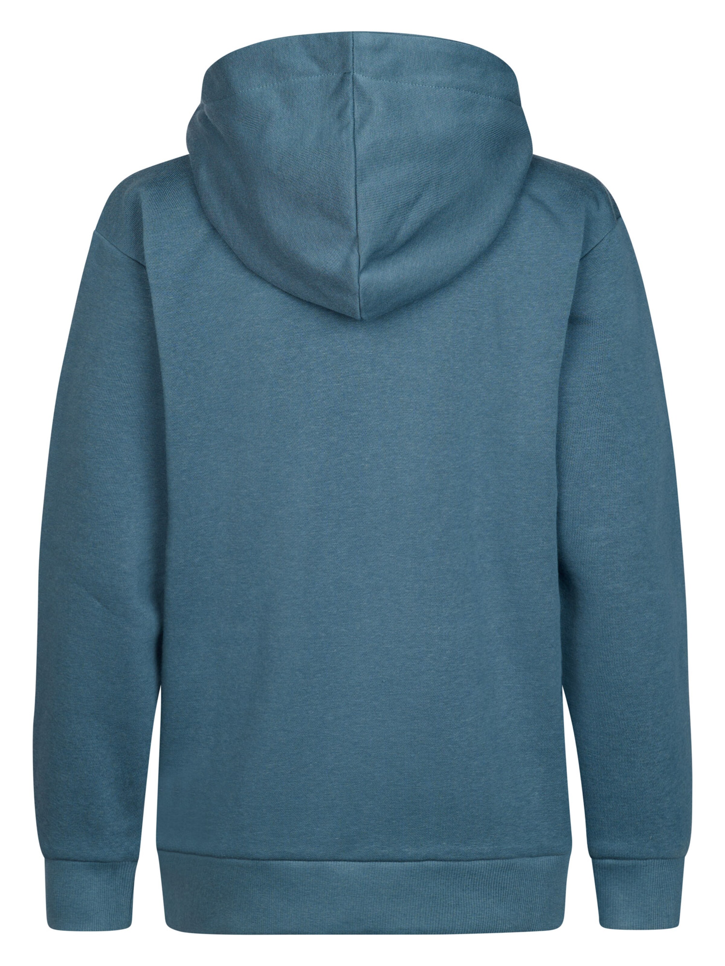 Petrol Industries Sweatshirt in Blauw