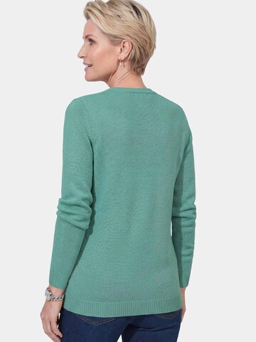 Goldner Sweater in Green