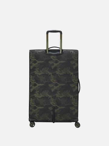 Trolley di Roncato in verde